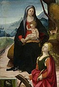 Bartolomeo Ramenghi (1484-1542) (attributed to) - The Virgin and Child with Saint Catherine - 631 - Fitzwilliam Museum.jpg