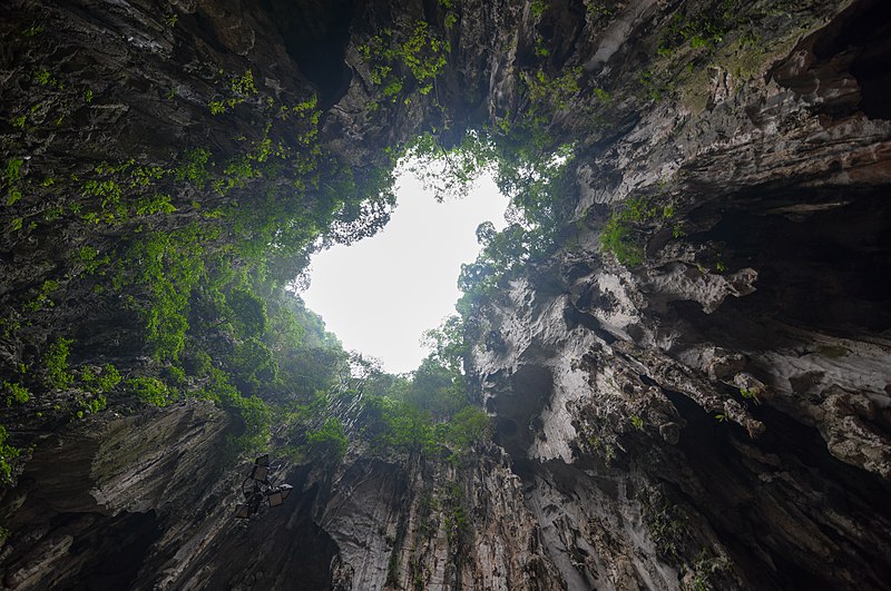 File:Batu Caves (18356036124).jpg