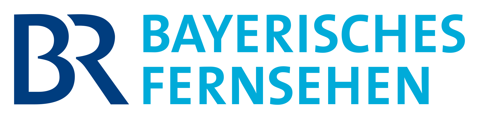 Bildergebnis für logo vom bayerischen fernsehen