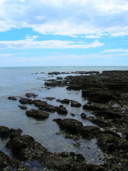 File:Beach at Hope Gap - geograph.org.uk - 881699.jpg