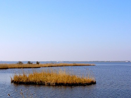 Biezenvelden2 Zwarte Meer.jpg