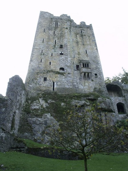 File:Blarney Castle's North Wall - geograph.org.uk - 596615.jpg