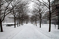 A blizzard after hitting Boston on February 13, 2006 Blizzard Boston.jpg