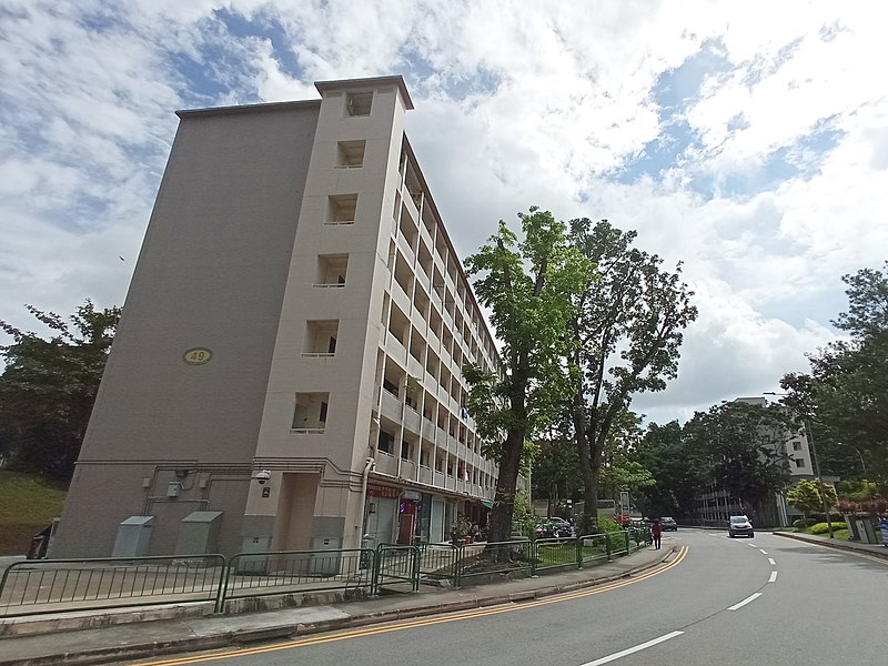 File:Blocks 48 and 49, Stirling Road, Singapore.jpg