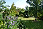 Bluebell Arboretum