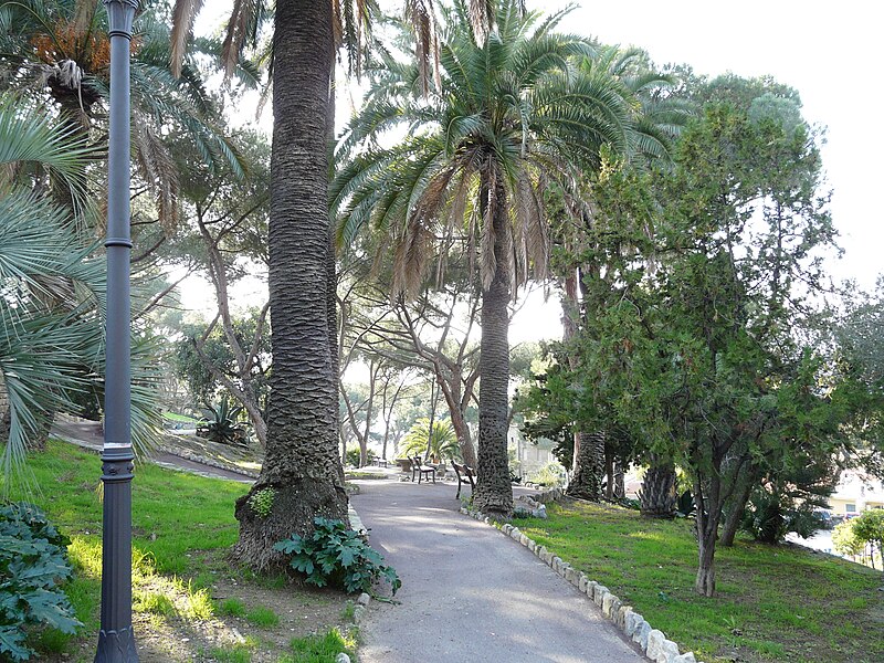 File:Bordighera-pineta del capo2.jpg