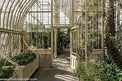 National Botanic Gardens glasshouse, Glasnevin, Dublin D09