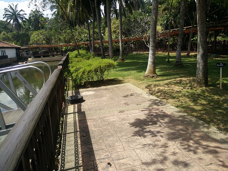 File:Botanical Garden in Putrajaya, Malaysia 12.jpg