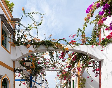 Puerto de Mogán Gran Canaria