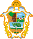 Manaus címere