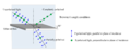 Brewster's angle polarization.png