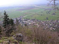 Breznica