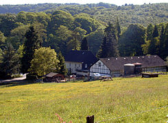 La forêt de Burgholz