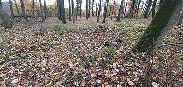 Burg Nieder-Modau: Lage, Geschichte, Beschreibung