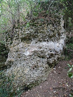 Illustrasjonsbilde av artikkelen Caillou de Gargantua (Caillouet-Orgeville)