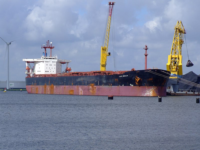 File:Cape Merlin - IMO 9056818 - Callsign VQGP6 - p4 at Port of Amsterdam, Holland 07-Jul-2007.jpg