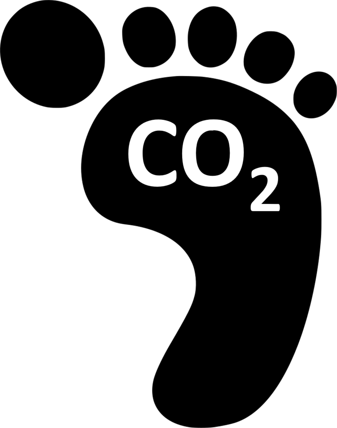 След год 2021. Углеродный след. Углеродный след иконка. Снижение углеродного следа. Углеродный след человека.