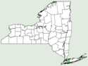 Carex sylvatica NY-dist-map.png
