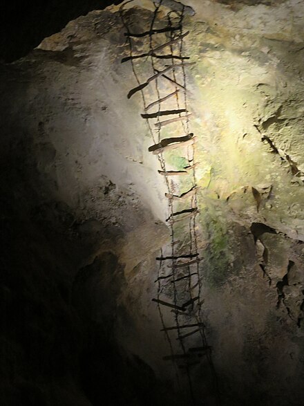A ladder used by the first explorers in the Carlsblad Caverns.