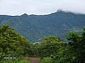 Cerro Musún, Río Blanco. - panoramio.jpg