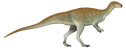 Thumbnail for Chakisaurus