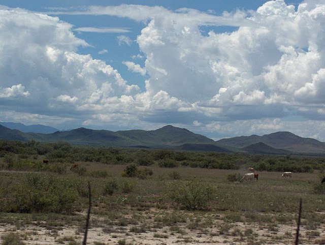 Sierra de mesa - Wikipedia, la enciclopedia libre