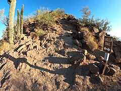 Cholla Trail.jpg