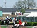 Thumbnail for 2008 Kentucky Derby