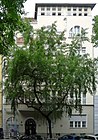 Clausewitzstrasse 3 (Berlin-Charlottenburg) .JPG