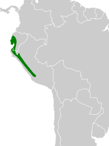 Contopus punensis map.svg