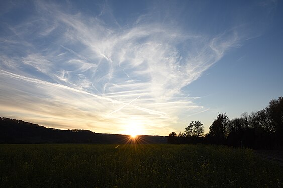 Gegenlicht in Austria