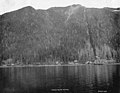 Copper Mountain, Alaska and buildings at its base from the water, between 1903 and 1913 (AL+CA 3328).jpg