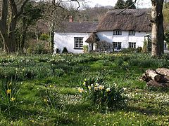 Cottages di Bowd.jpg