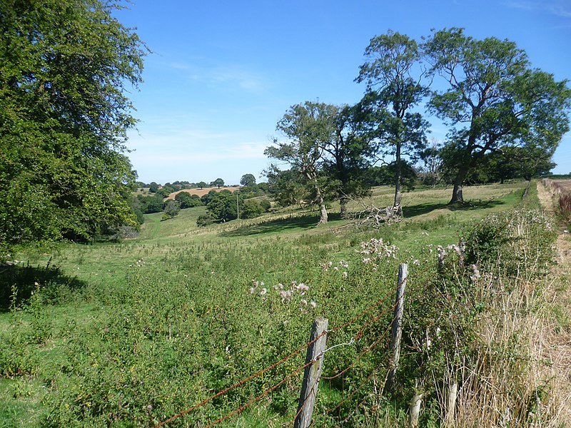 File:Countryside near Elham - geograph.org.uk - 3638484.jpg