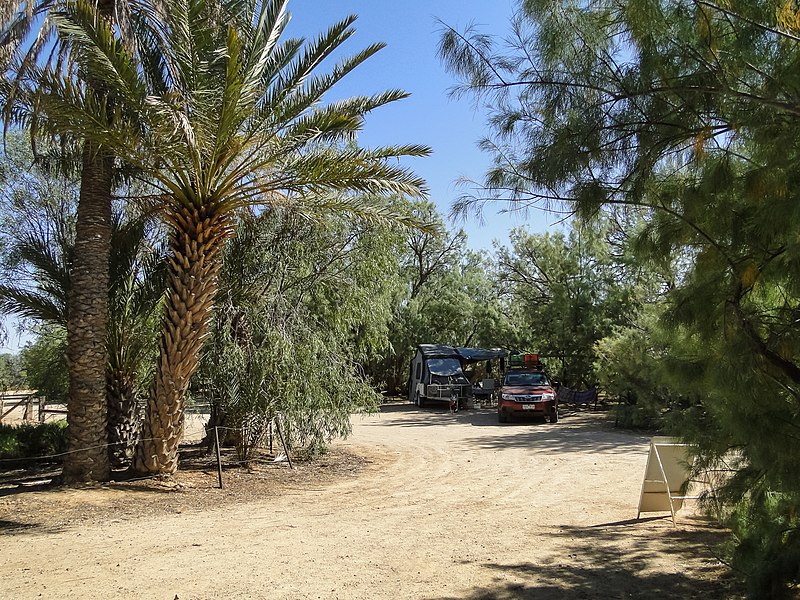 File:Coward Springs camping area.jpg