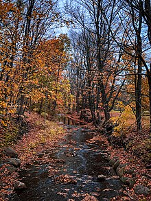 View of Tannery Brook from Maple Creek from Maple.jpg