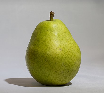 Fresh pear. Груша Армут. Анжу (сорт груш). Груша Триумф Виенны. Сорта груш Вермонт.