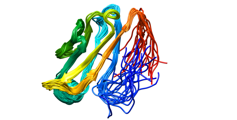 File:DSG2 protein.png