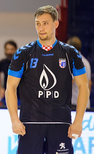 <span class="mw-page-title-main">Darko Cingesar</span> Slovenian handball player