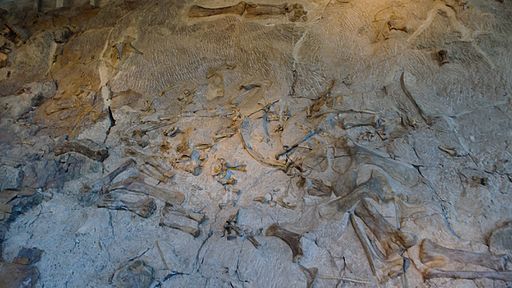 Dinosaur National Monument (7002366149)