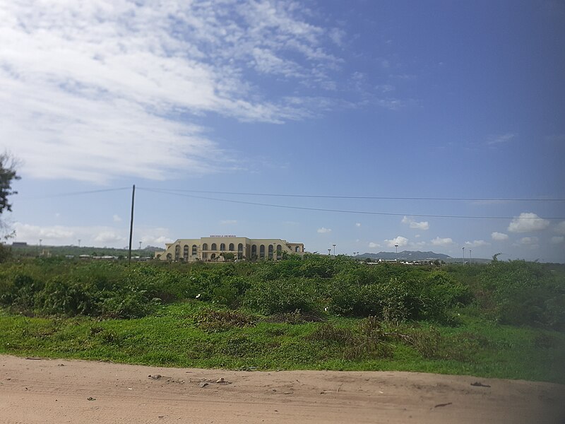 File:Dodoma - Job Ndugai Central Market.jpg