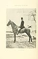 Dressage en liberté du cheval d'obstacles (Page 54) BHL20167882.jpg