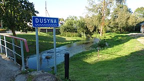 Dusyna Vyžuonose