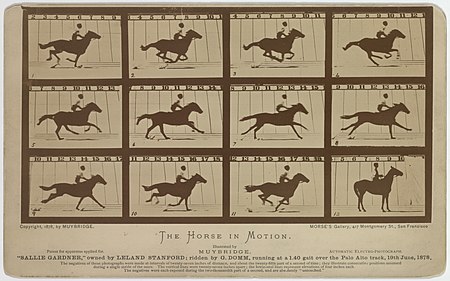 Eadweard Muybridge-Sallie Gardner 1878.jpg