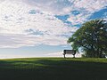 "Edge_of_America_(Unsplash).jpg" by User:Fæ