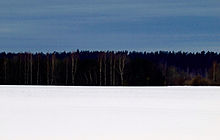 Lager fødselsdag ugyldig Flag of Estonia - Wikipedia