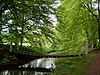 Elswout: kettingbrug