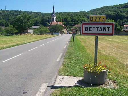 Bettant