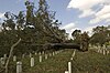 Baton Rouge National Cemetery FEMA - 39142 - Tree blown over in a cemetery in Louisiana.jpg