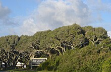 Fort Fisher State Historic Site FFBattle2108.jpg